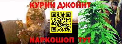 сатива Беслан