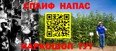 сатива Беслан
