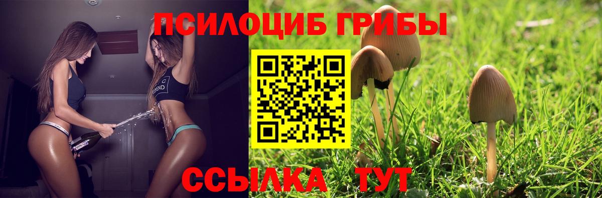 Псилоцибиновые грибы ЛСД Златоуст